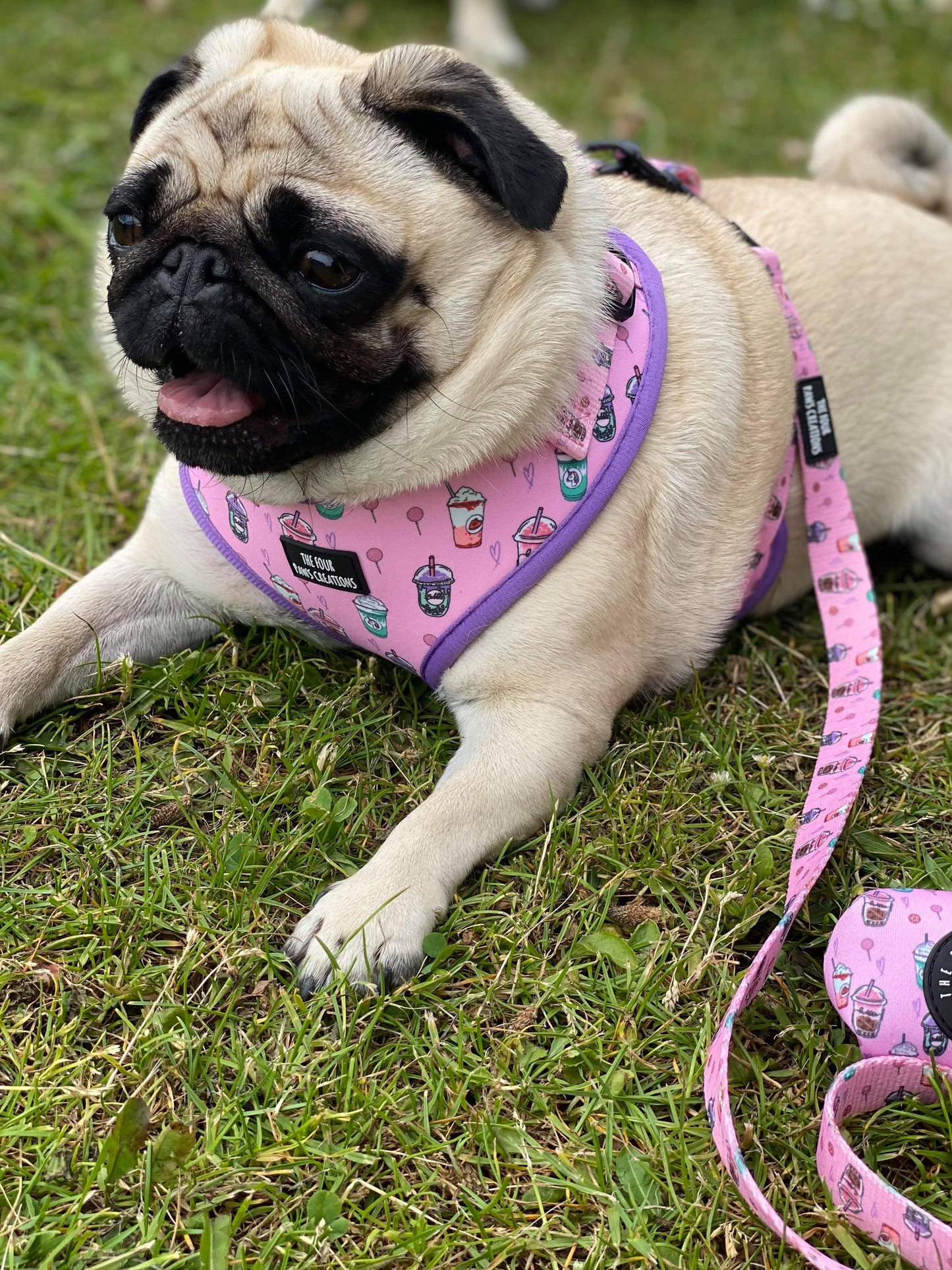 Love you a Latte Adjustable Harness