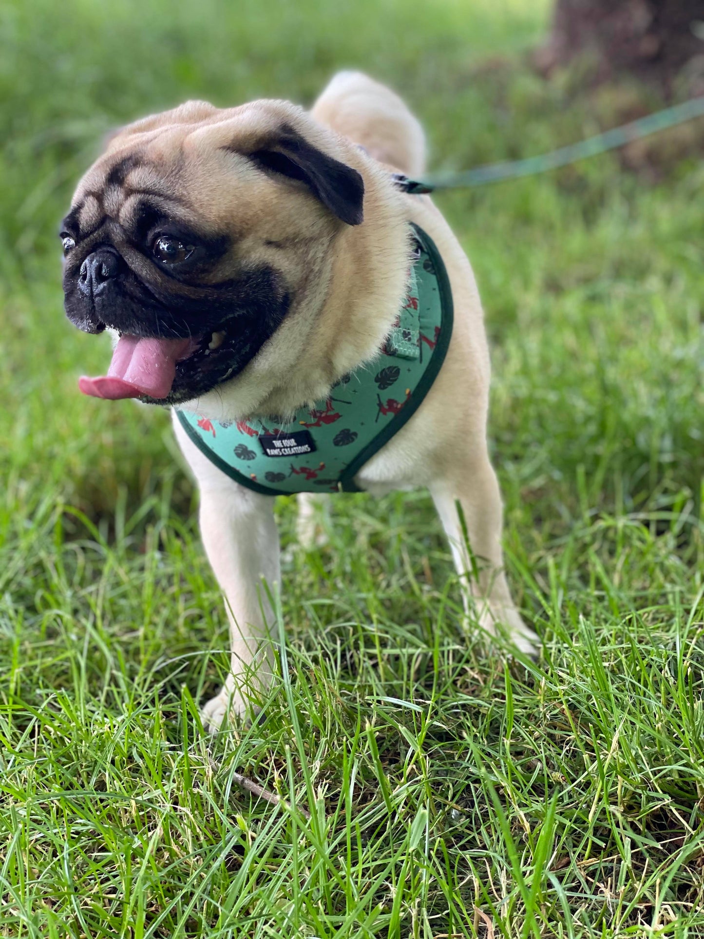 Jungles VIP Adjustable Harness