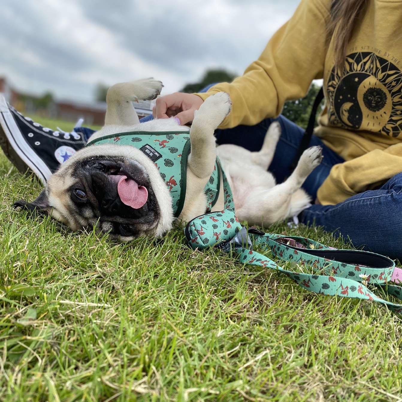 Jungles VIP Adjustable Harness