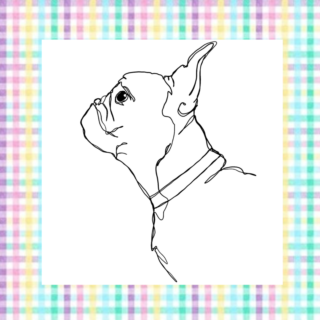 Rainbow Gingham Design Fabric Collar