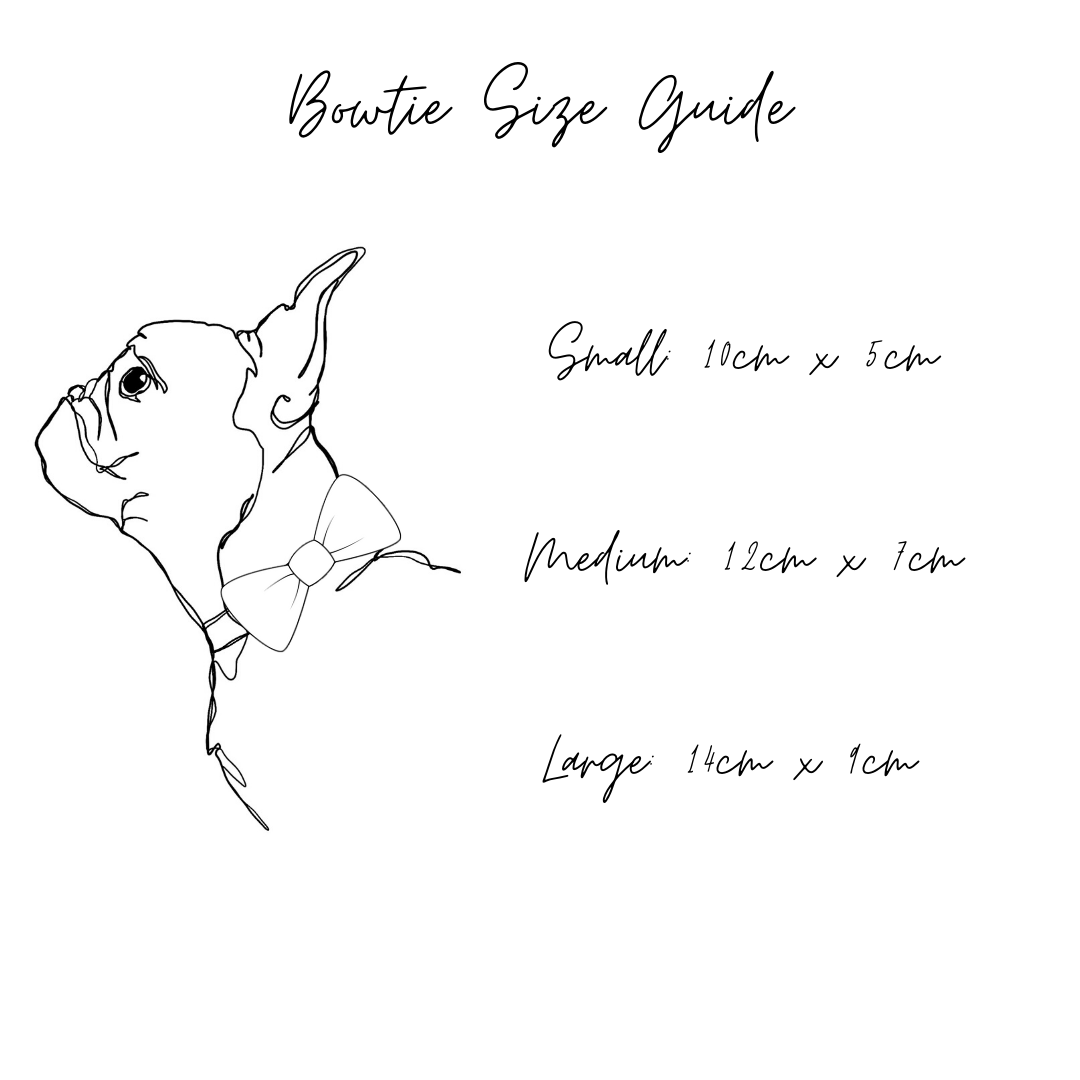 Whale of a time Bow tie