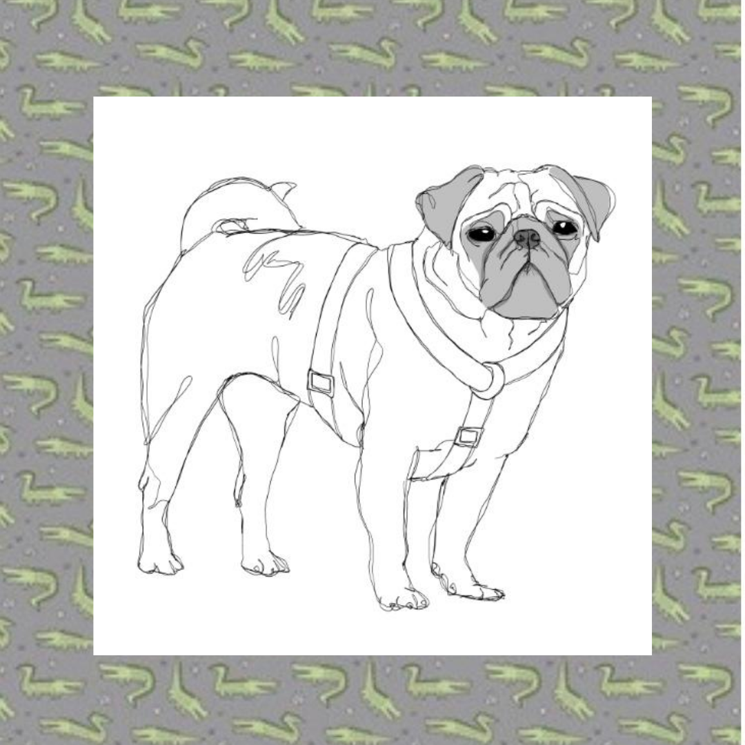 Mr. Croc Fabric Strap Harness
