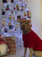 Load image into Gallery viewer, Christmas Dark Red Cable Knit Dog Jumper