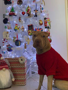 Christmas Dark Red Cable Knit Dog Jumper