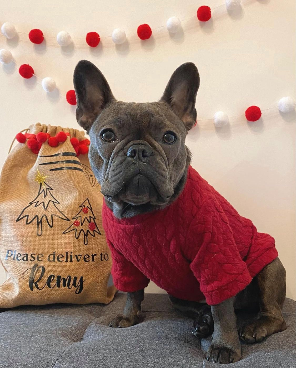 Christmas Dark Red Cable Knit Dog Jumper