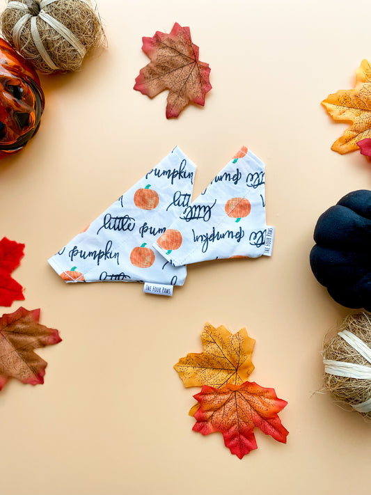 Little Pumpkin Bandana, Over the collar