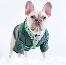 Load image into Gallery viewer, Army Green Cable Knit Handmade Dog Jumper