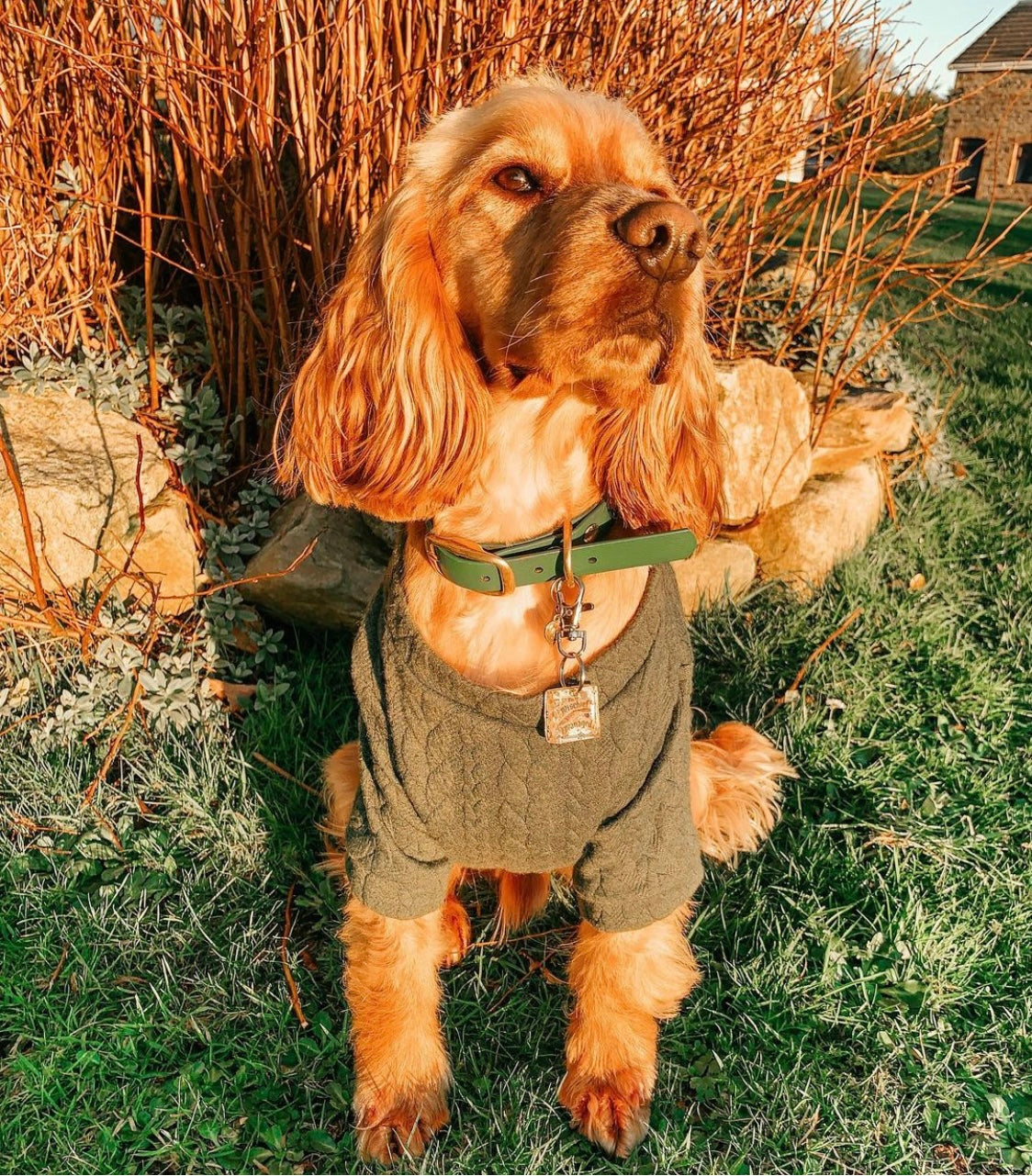 Army Green Cable Knit Handmade Dog Jumper