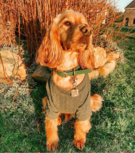 Load image into Gallery viewer, Army Green Cable Knit Handmade Dog Jumper