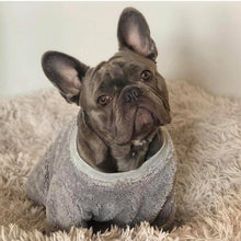 Load image into Gallery viewer, Grey teddy plush Dog Jumper