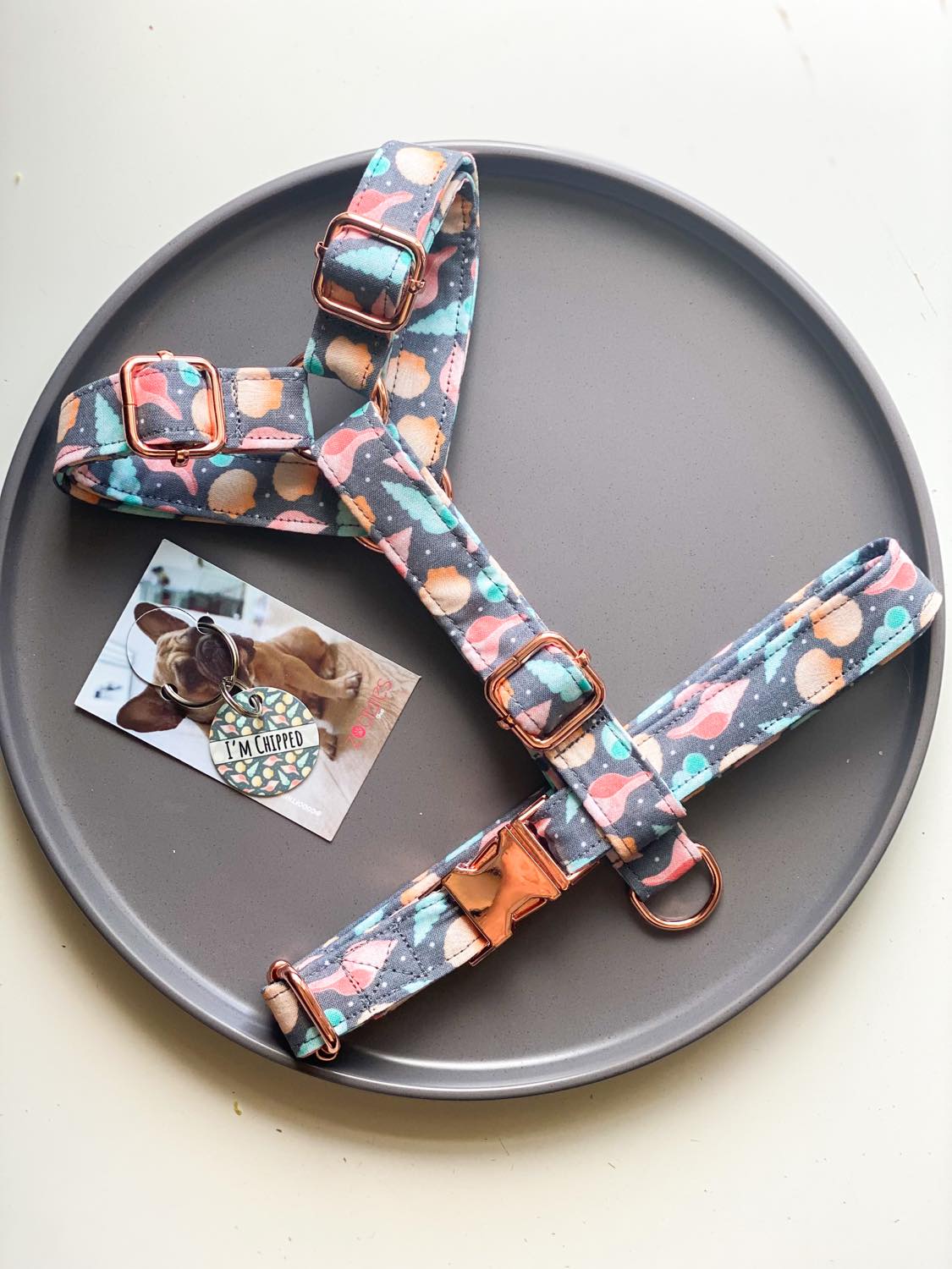 What the shell Fabric Strap Harness
