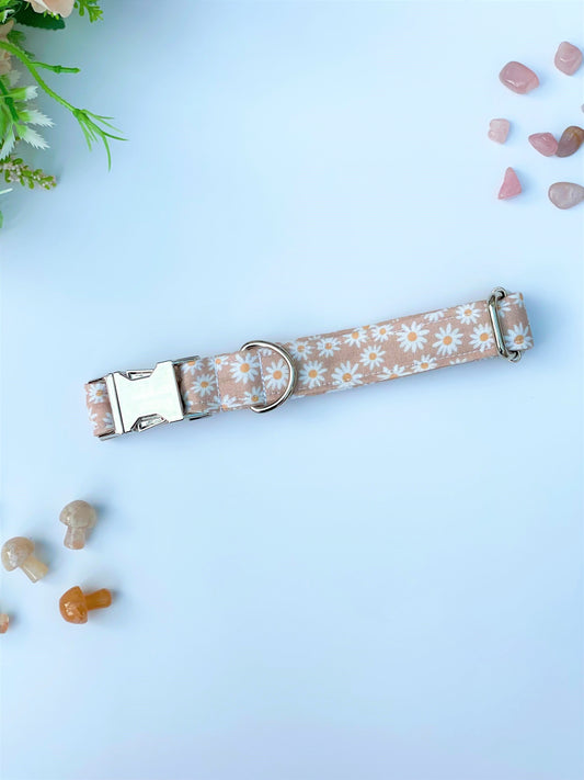 Oopsy-Daisy Fabric Collar