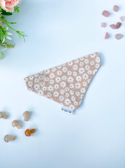 Oopsy-Daisy Bandana, Over the collar