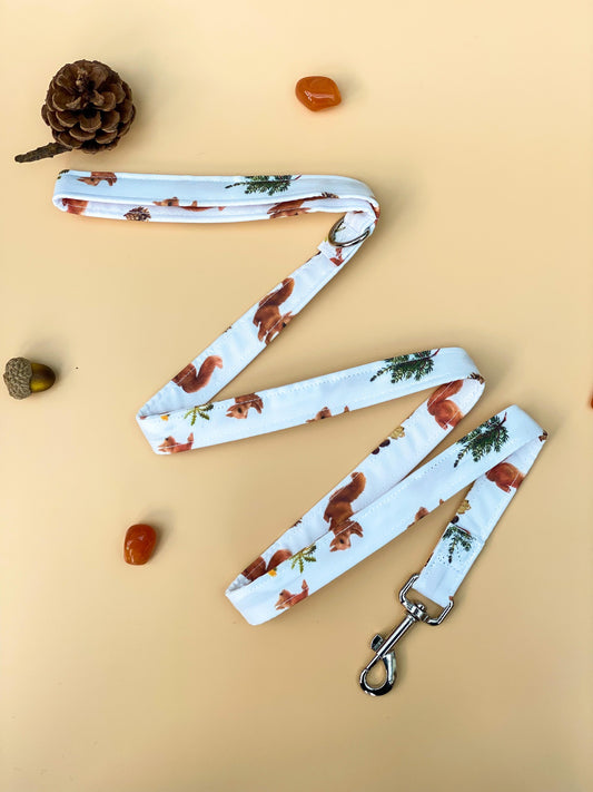 Squirrel Fabric Lead