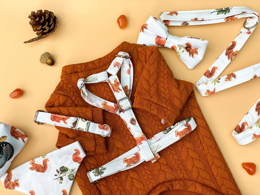 Squirrel! Fabric Strap Harness