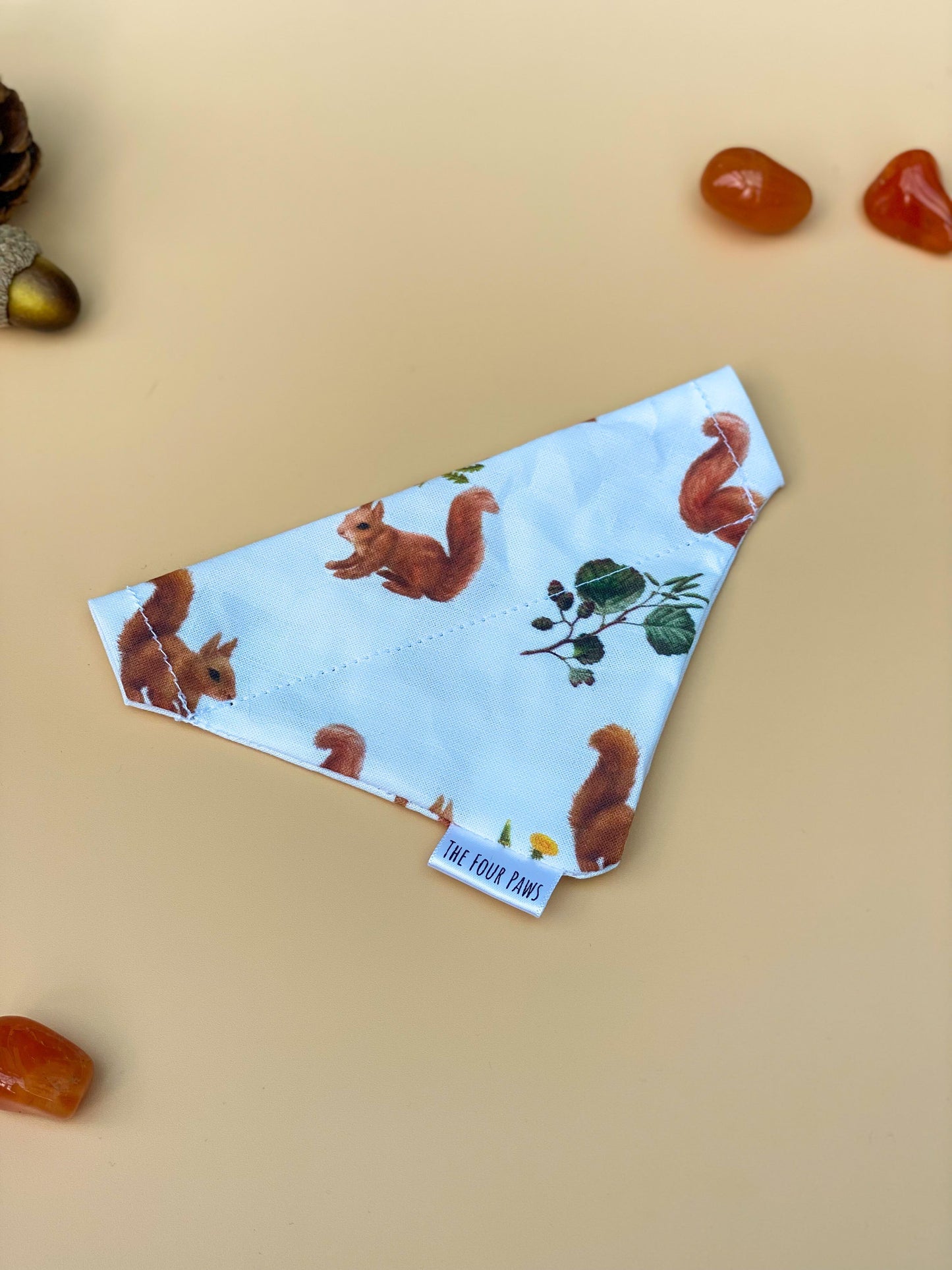 Squirrel! - Ultimate Bundle