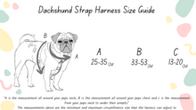 Load image into Gallery viewer, Dachshund size Spring collection fabric strap harness