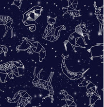 Load image into Gallery viewer, Constellation Fabric Collar