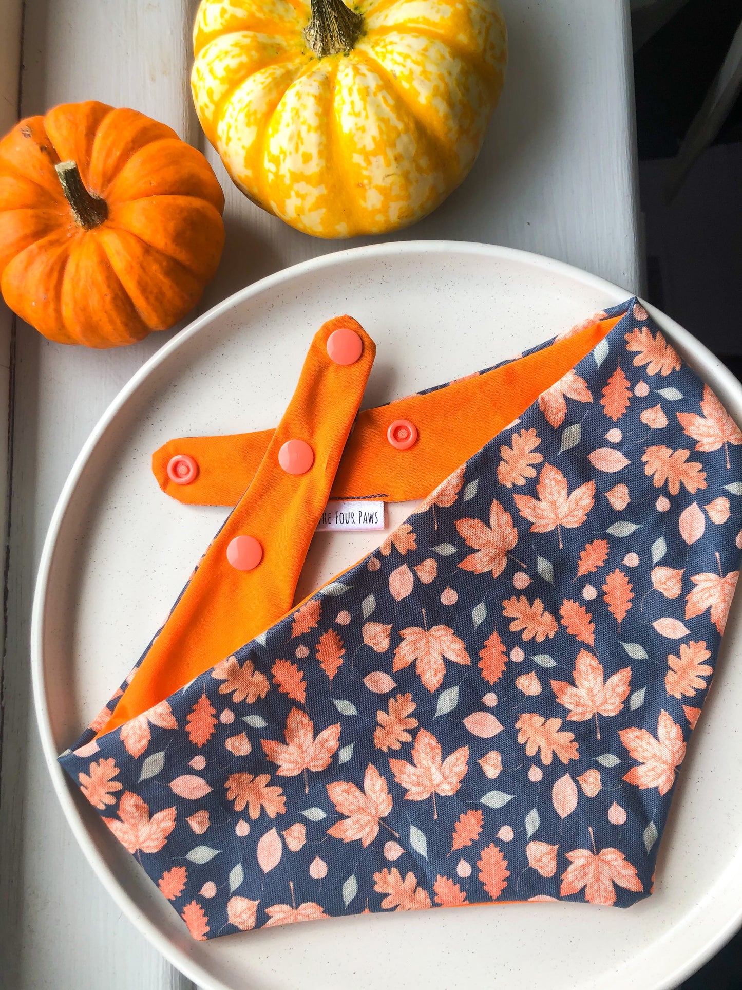 Autumn Fall Reversible Bandana.