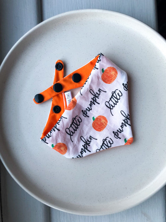 Little Pumpkin Reversible Bandana.