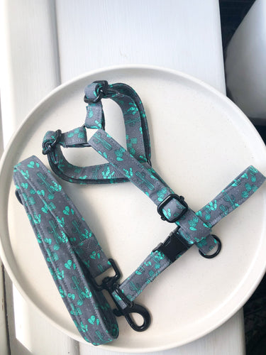 Can’t touch this Cactus Fabric Strap Harness