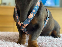 Load image into Gallery viewer, Dachshund size Autumn collection fabric strap harness