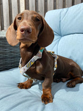 Load image into Gallery viewer, Dachshund size summer collection fabric strap harness